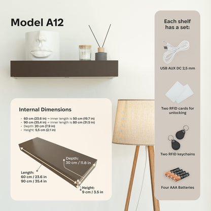 Modern Stealth Floating Security Shelf
