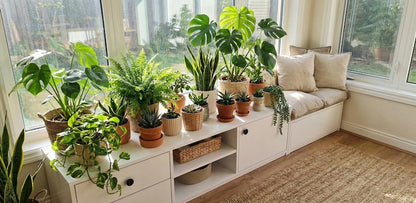 Modern Minimalist Hidden Security Console